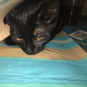 Meet your Posher, Serenity